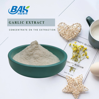 उच्च गुणवत्ता वाले लहसुन निकालने 1% 2% 3% एलिसिन पाउडर स्टॉक में लहसुन निकालने बिक्री के लिए निः शुल्क नमूने के साथ