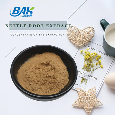 गर्म बिक्री एचएसीसीपी प्रतिरक्षा बढ़ाने वाली खुराक Nettle Root Extract Powder CAS 83-46-5