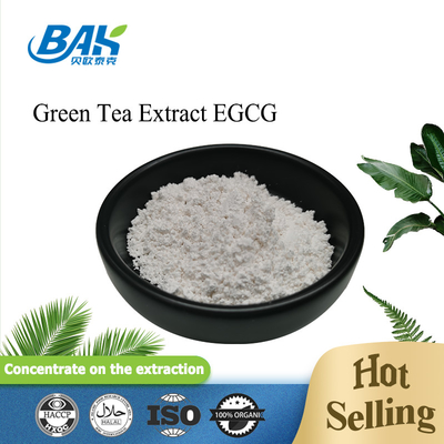 थोक स्टॉक ग्रीन टी एक्सट्रैक्ट EGCG CAS NO 989-51-5 Epigallocatechin Gallate 98% सफेद पाउडर