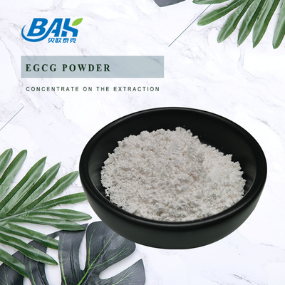 थोक स्टॉक ग्रीन टी एक्सट्रैक्ट EGCG CAS NO 989-51-5 Epigallocatechin Gallate 98% सफेद पाउडर