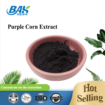 BAK फैक्टरी थोक एंथोसियानिन 35% Zea Mays Purple Corn Extract Dark Purple Powder