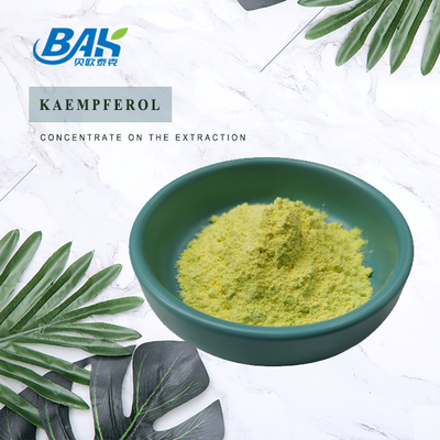 BAK उच्च गुणवत्ता Cas 520-18-3 प्रतिरक्षा बढ़ाने वाली खुराक Kaempferol पाउडर 50% 90% 98%