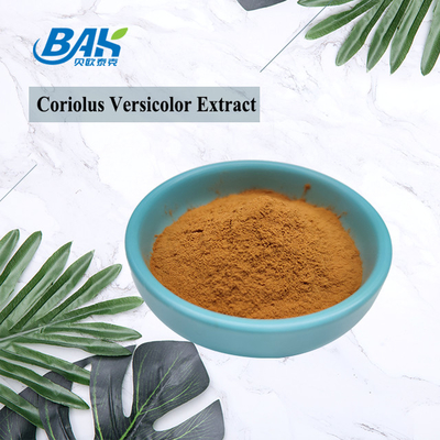 कार्बनिक Coriolus Versicolor मशरूम अर्क सप्लीमेंट ब्राउन येलो पाउडर