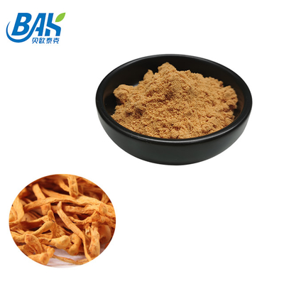 Cordyceps Militaris Extract लिवर प्रोटेक्शन सप्लीमेंट 1% - 6% Cordycepin पाउडर