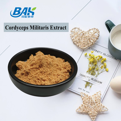 Cordyceps Militaris Extract लिवर प्रोटेक्शन सप्लीमेंट 1% - 6% Cordycepin पाउडर