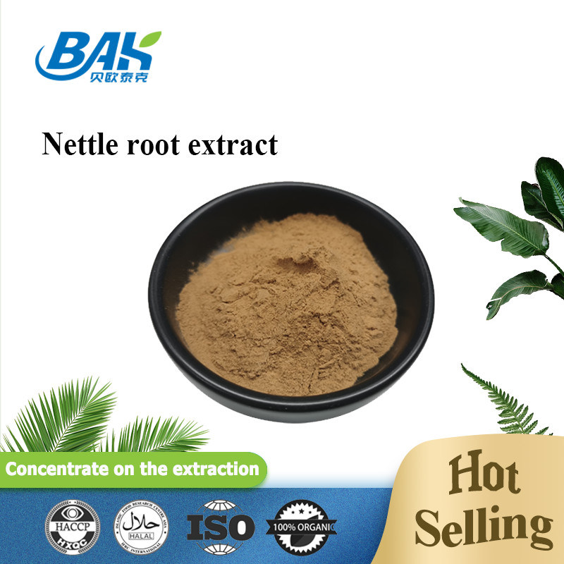गर्म बिक्री एचएसीसीपी प्रतिरक्षा बढ़ाने वाली खुराक Nettle Root Extract Powder CAS 83-46-5