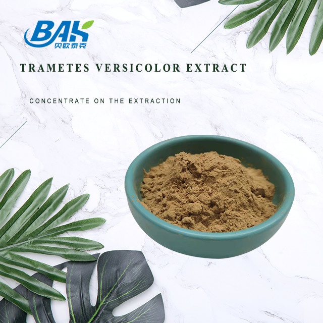 10% - 50% Trametes Versicolor Extract पाउडर मशरूम एक्सट्रैक्ट सप्लीमेंट