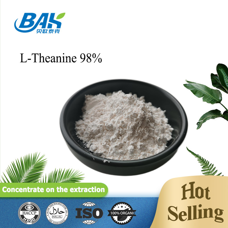 CAS NO 3081-61-6 स्वस्थ आहार के लिए प्राकृतिक हर्बल अर्क हरी चाय अर्क पाउडर Theanine 98% पाउडर