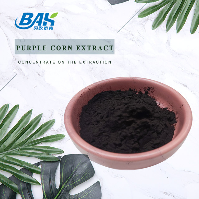 BAK फैक्टरी थोक एंथोसियानिन 35% Zea Mays Purple Corn Extract Dark Purple Powder