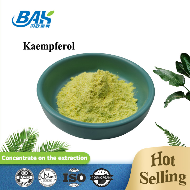 BAK उच्च गुणवत्ता Cas 520-18-3 प्रतिरक्षा बढ़ाने वाली खुराक Kaempferol पाउडर 50% 90% 98%