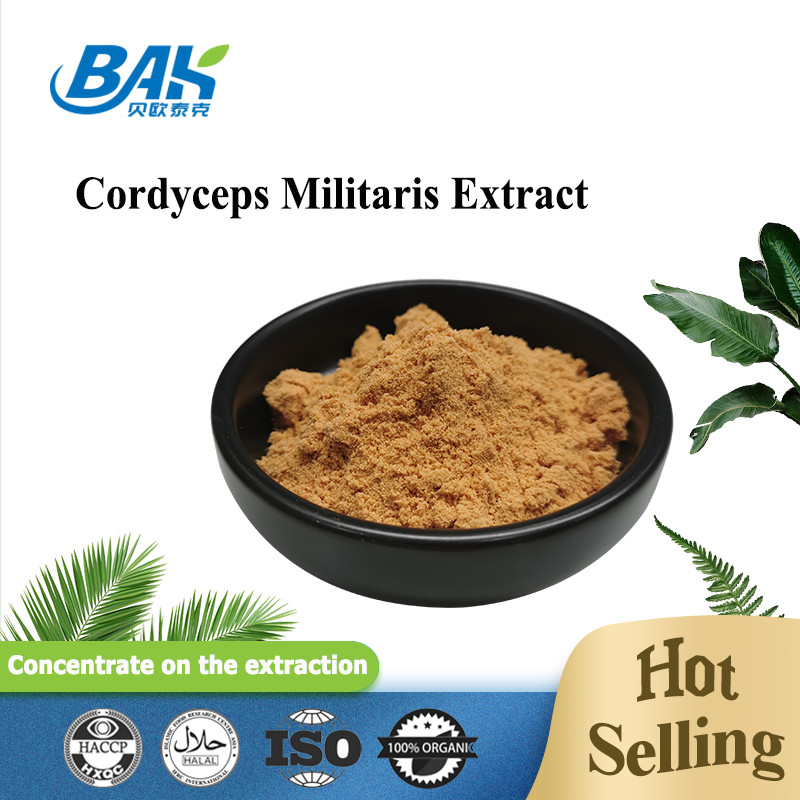 Cordyceps Militaris Extract लिवर प्रोटेक्शन सप्लीमेंट 1% - 6% Cordycepin पाउडर
